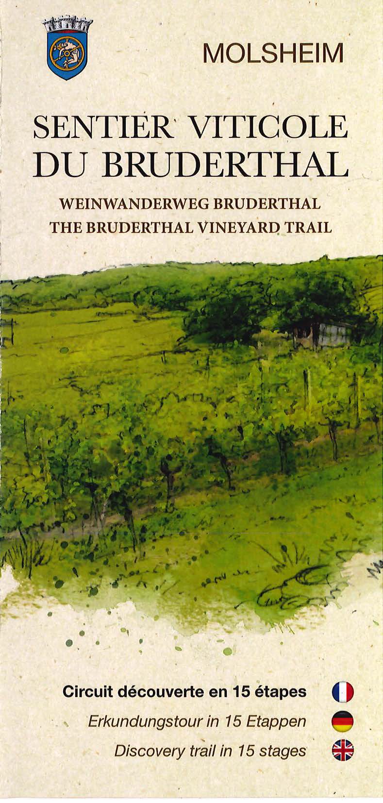 Le Bruderthal, Grand cru de Molsheim