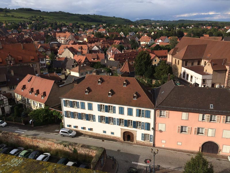 Le Bruderthal, Grand cru de Molsheim