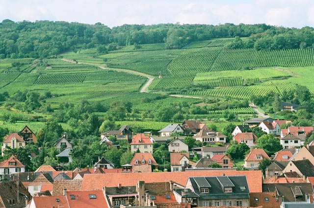 The Grand Cru Bruderthal
