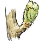 The Grand Cru Bruderthal