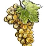 The Grand Cru Bruderthal