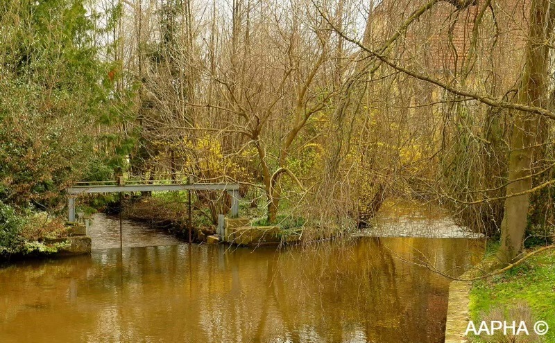 réserve naturelle à Altorf