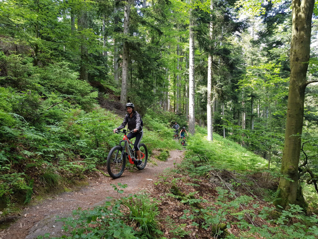 Trace verte, VTT, mountainbiken, mountain biking