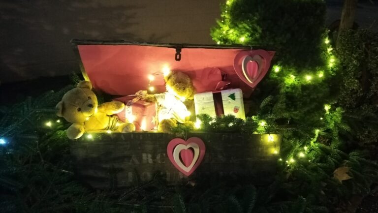 Avol-2025©Carine Ging (12)