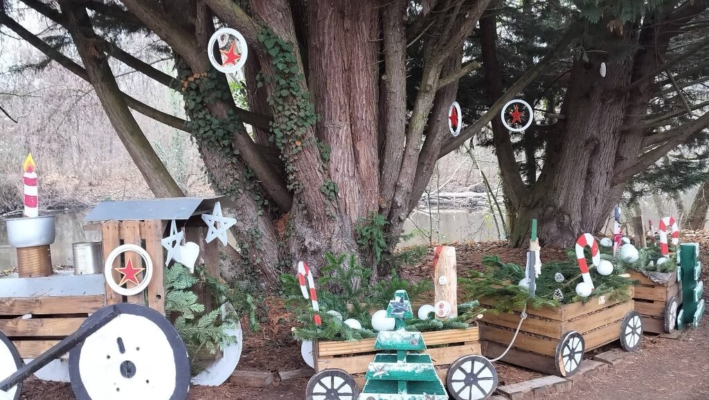 Christmas in the region Molsheim-Mutzig