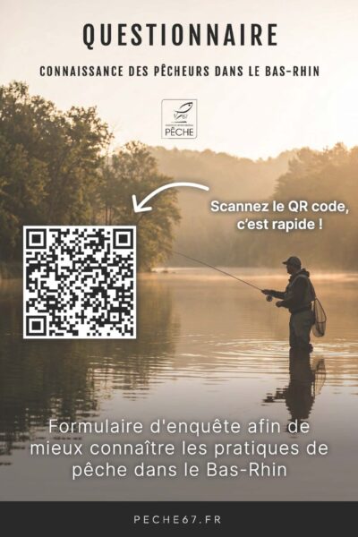 Activités d'eau