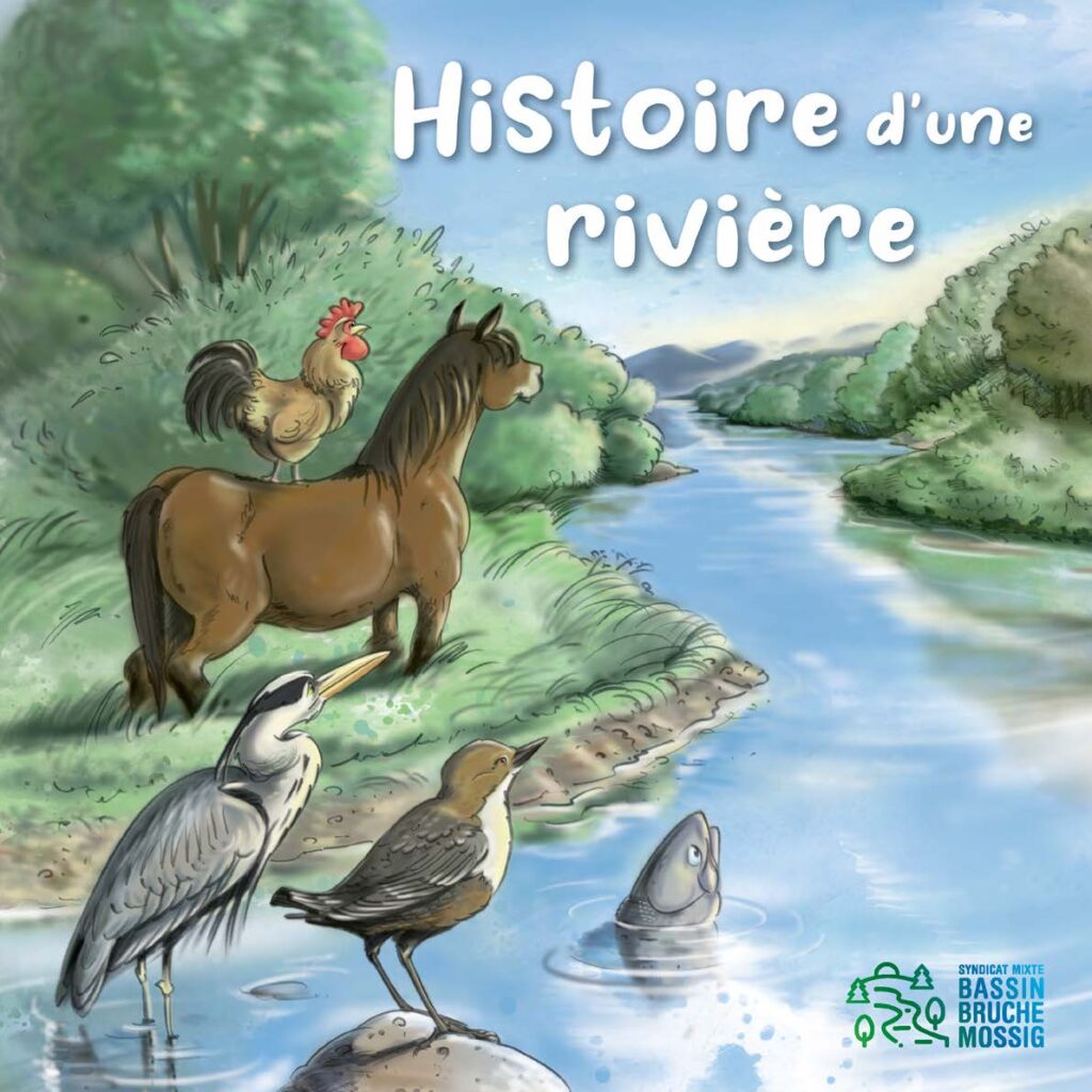 Activités d'eau
