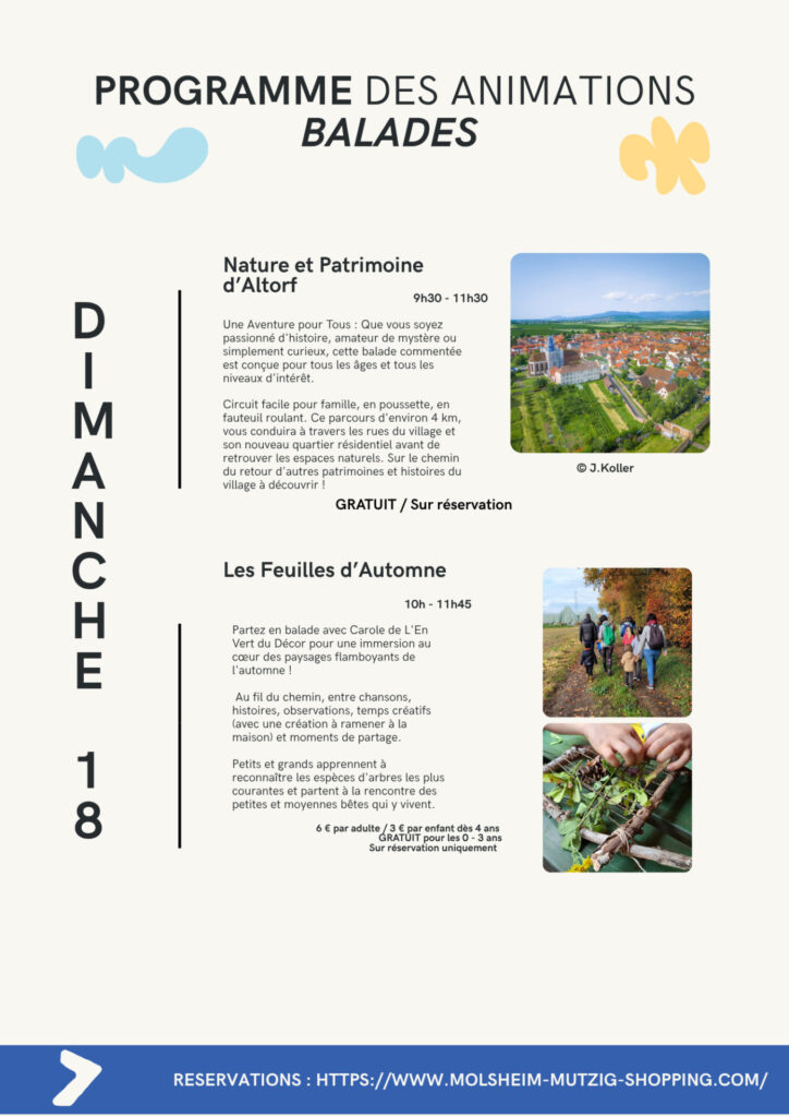 Le "Fou de trucks festival" 5ème édition du 17 au 18 octobre 2026 à Altorf