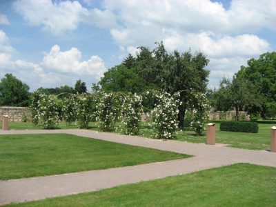Jardin de l'Abbatiale Altorf