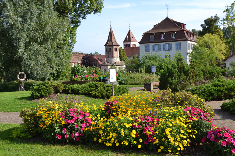 Place de la Gare 6 Avolsheim — photo 3